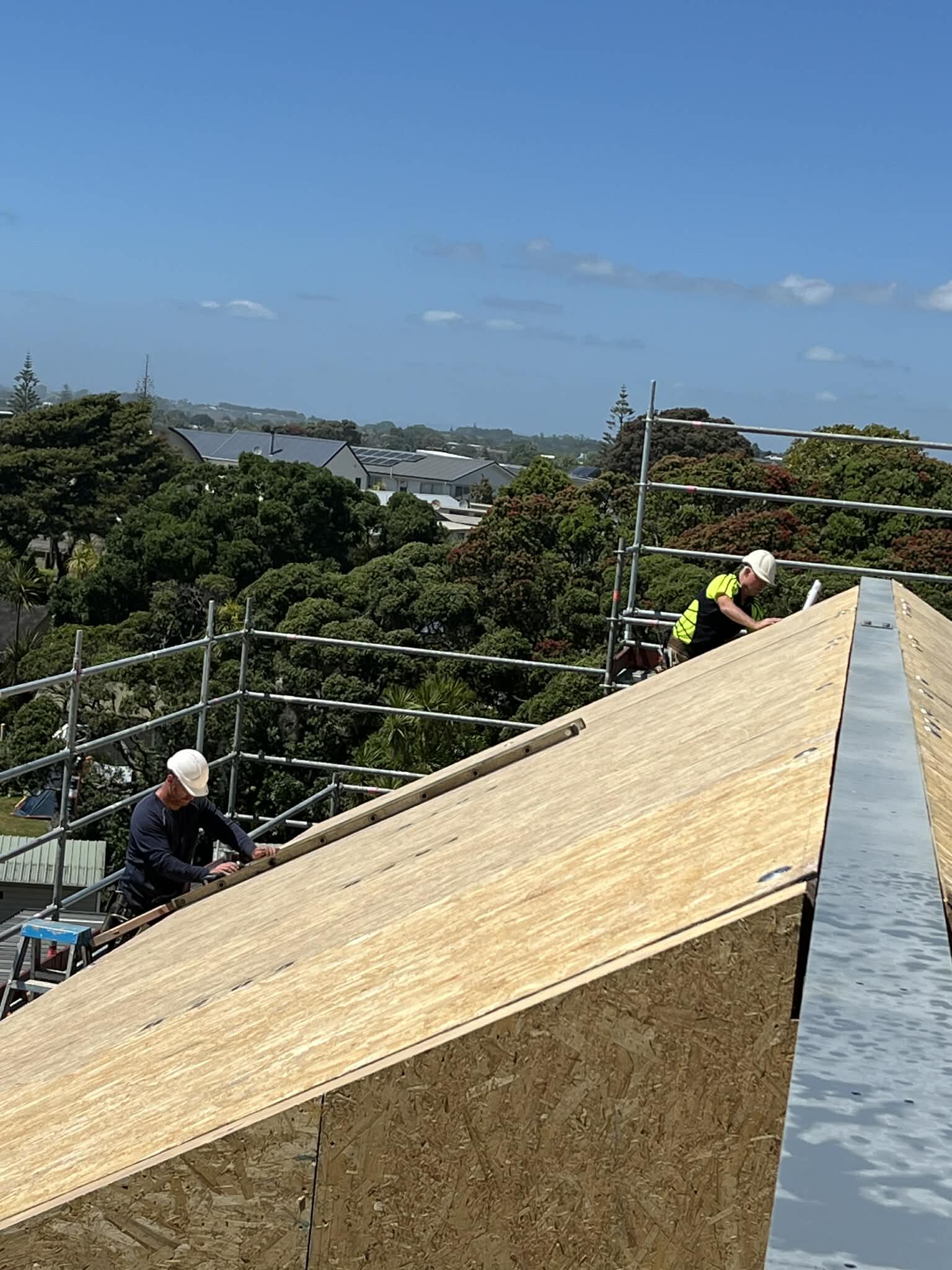 Waihi Wonder