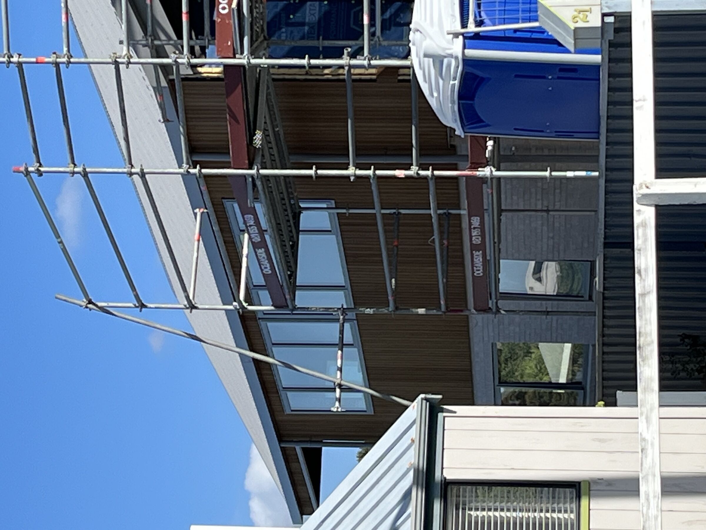 Waihi Wonder