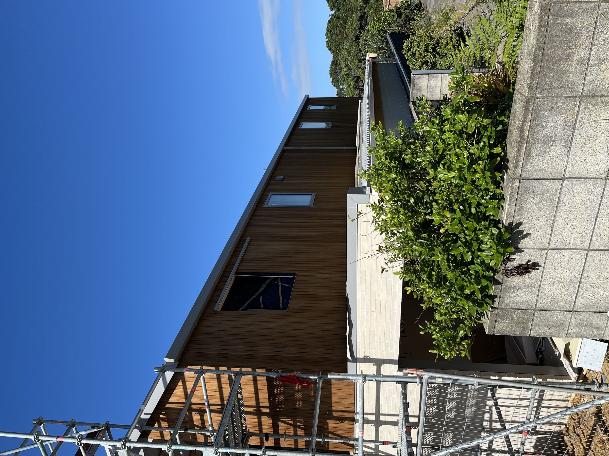 Waihi Wonder